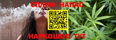 гидра Моздок