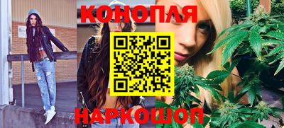 гидра Моздок