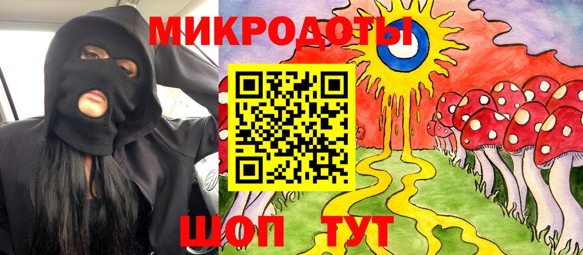 Галлюциногенные грибы Psilocybe Сосновоборск